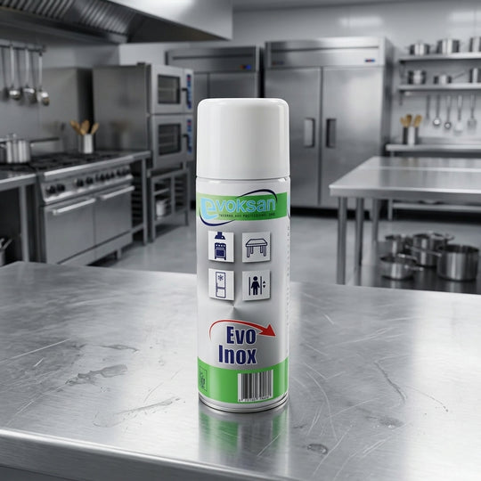 Evo Inox - Lucidante Protettivo per Acciaio in Aerosol - 400 ML