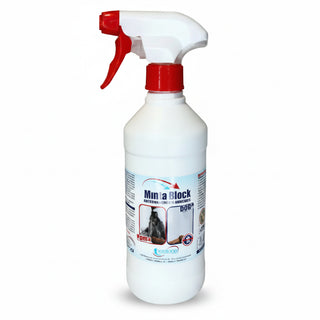 MUFFA BLOCK - ANTIMUFFA RISANANTE IGIENIZZANTE 500 ml